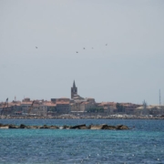 alguer